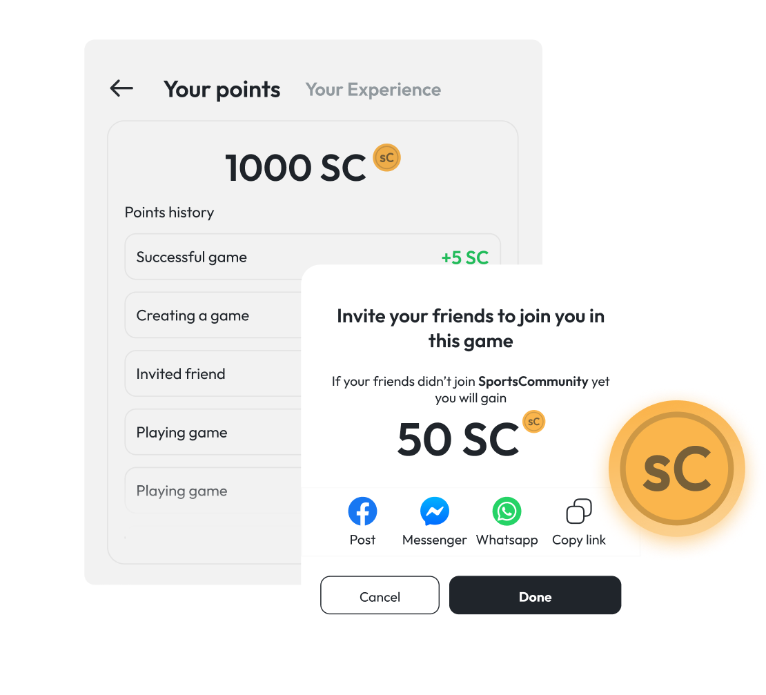 Points and Rewards Interface